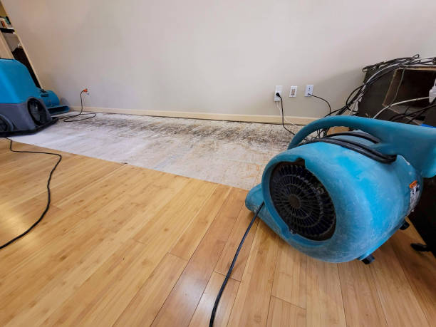 Professional Structural Drying technician working in Zieglerville, PA